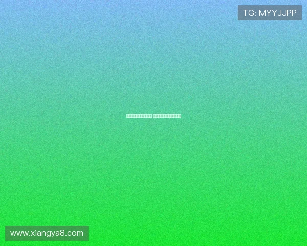 湖人二将境遇差异显著 冠军功臣求涨薪引发关注