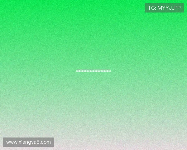 葡体主帅回应哲凯赖什离队:球员更替是足球常态 葡体主帅回应哲凯赖什离队:球员更替是足球常态